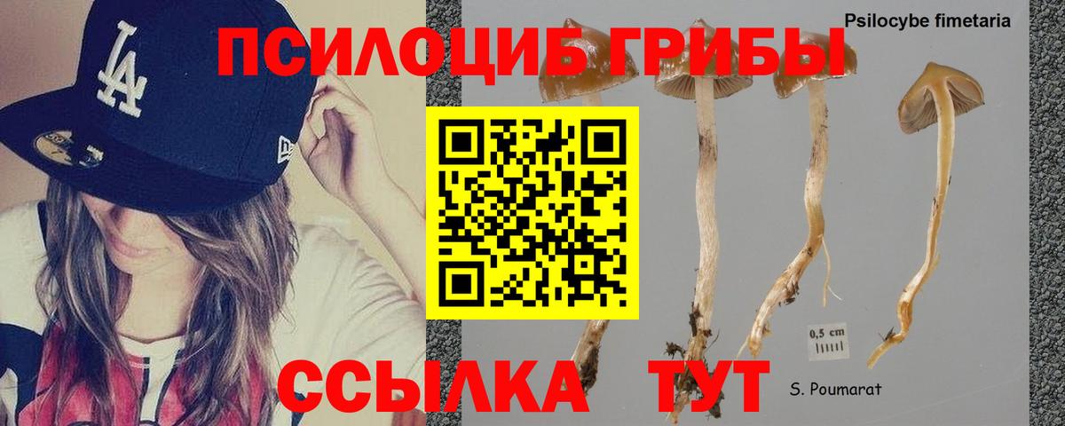 Кунгур  Псилоцибиновые грибы Magic Shrooms  Вход с VPN 